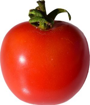 tomato1-5